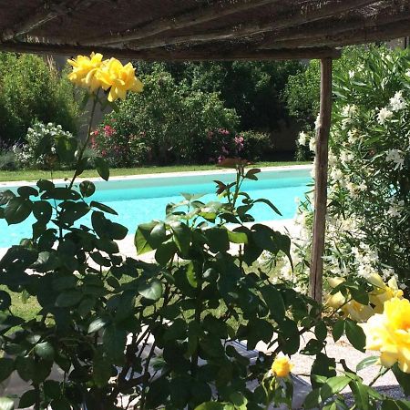 Agriturismo Lupo Vecchio Grosseto Buitenkant foto
