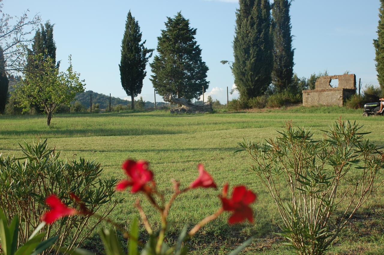 Agriturismo Lupo Vecchio Grosseto Buitenkant foto