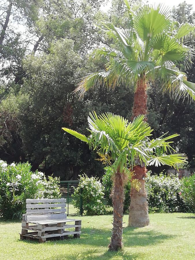 Agriturismo Lupo Vecchio Grosseto Buitenkant foto