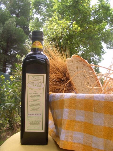 Agriturismo Lupo Vecchio Grosseto Buitenkant foto